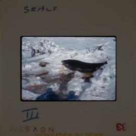 Massam-Slides_Untitled_179