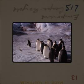 Massam-Slides_Untitled_180