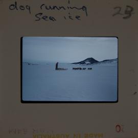 Massam-Slides_Untitled_246