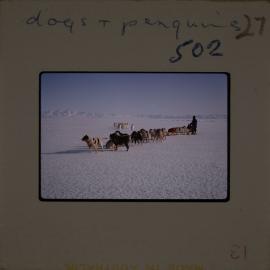 Massam-Slides_Untitled_258