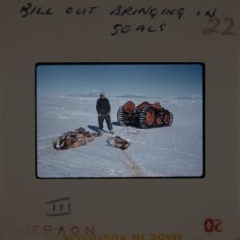 Massam-Slides_Untitled_262