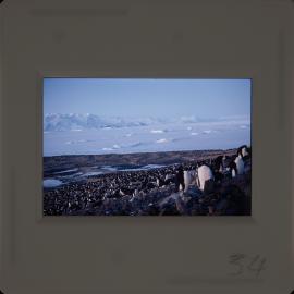 Massam-Slides_Untitled_265