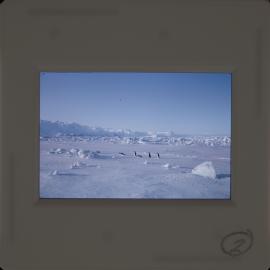 Massam-Slides_Untitled_275