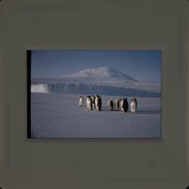 Massam-Slides_Untitled_299