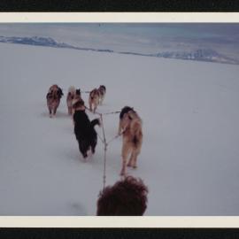 Massam-Prints_37-8_003