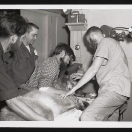 Massam-Prints_37-8_009