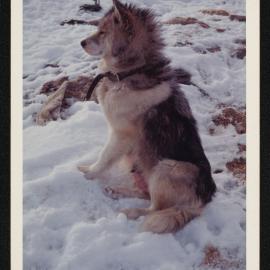 Massam-Prints_37-8_015