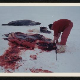 Massam-Prints_37-8_016