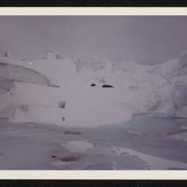 Massam-Prints_37-8_018