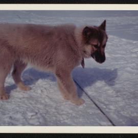 Massam-Prints_37-8_020