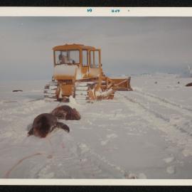 Massam-Prints_37-8_023