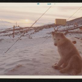 Massam-Prints_37-8_027