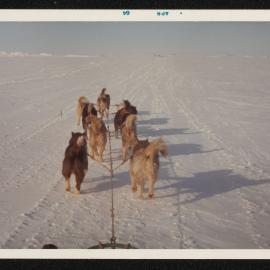 Massam-Prints_37-8_030