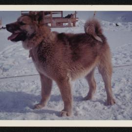 Massam-Prints_37-8_034