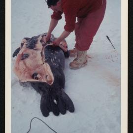 Massam-Prints_37-8_038