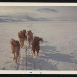 Massam-Prints_37-8_041