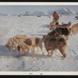 Massam-Prints_37-8_046