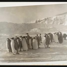 Massam-Prints_Malcolm-Ford_001