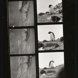 Massam-Prints_Malcolm-Ford_014