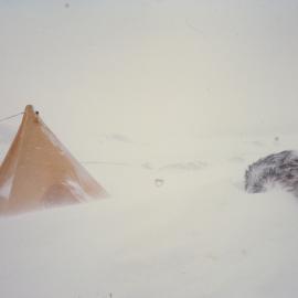 Buried Field camp