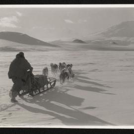 Massam-Prints_Weta_004