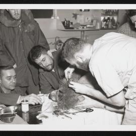 Massam-Prints_Weta_005