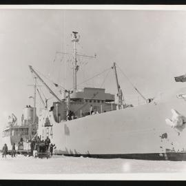 Massam-Prints_Weta_012