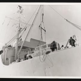 Massam-Prints_Weta_014