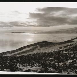 Massam-Prints_Weta_018