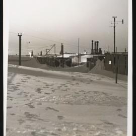 Massam-Prints_Weta_020