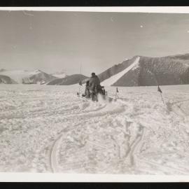 Massam-Prints_Weta_022