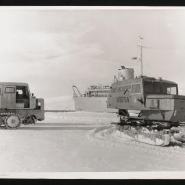 Massam-Prints_Weta_025