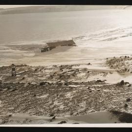 Massam-Prints_Weta_026