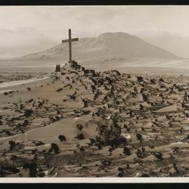 Massam-Prints_Weta_027