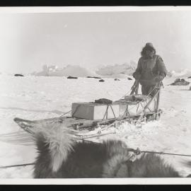 Massam-Prints_Weta_029