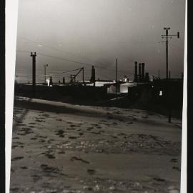 Massam-Prints_Weta_030