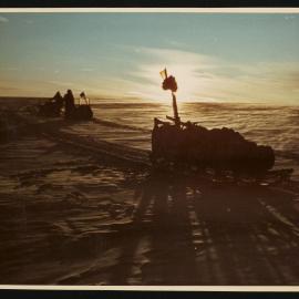 Massam-Prints_Weta_032