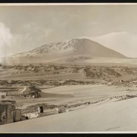 Massam-Prints_Weta_033