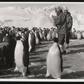 Massam-Prints_Weta_034