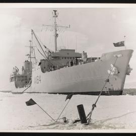 Massam-Prints_Weta_036