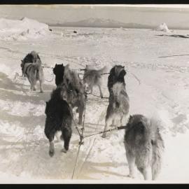 Massam-Prints_Weta_037