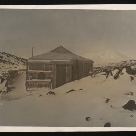 Massam-Prints_Weta_044