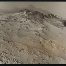 Massam-Prints_Weta_045