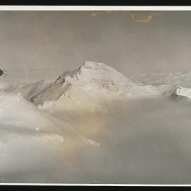 Massam-Prints_Weta_046