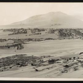 Massam-Prints_Weta_048