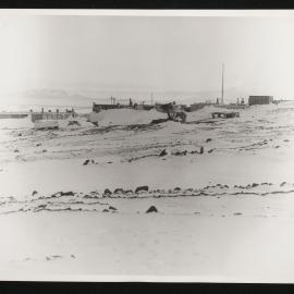 Massam-Prints_Weta_050