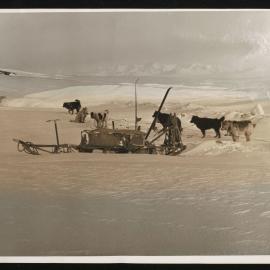 Massam-Prints_Weta_054