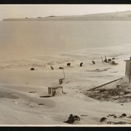 Massam-Prints_Weta_055