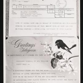 Massam-Prints_Weta_056