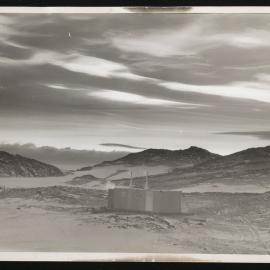 Massam-Prints_Weta_062